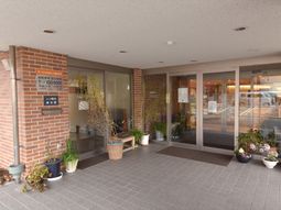 エントランスの植物と煉瓦壁