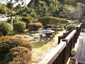 中庭の庭園  