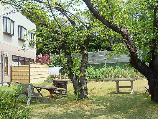 芝生と植物が植えてある施設内の中庭の様子。ベンチが置いてあるスペース
