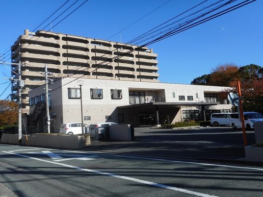 歩行訓練を行っている高齢者とそれをサポートするスタッフ2人