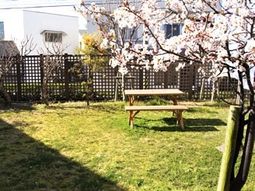 春の訪れを感じる庭
