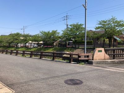 緑豊かな外観風景