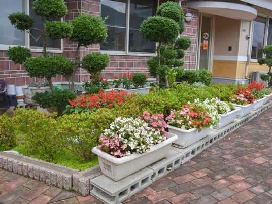 色とりどりの花が植えられた入口