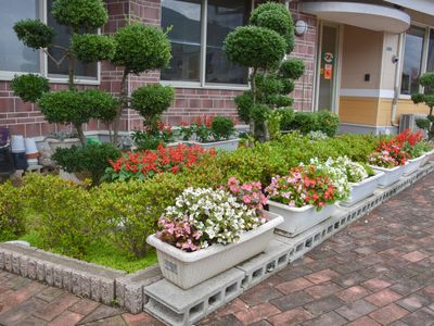 色とりどりの花が植えられた入口