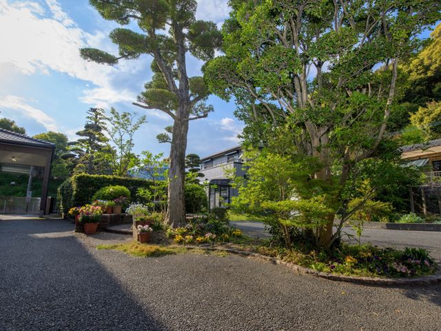 緑豊かなエントランス 中庭 自然光があふれる開放的な入口です。植え込みや花で彩られており、訪れる方を温かく迎えます。