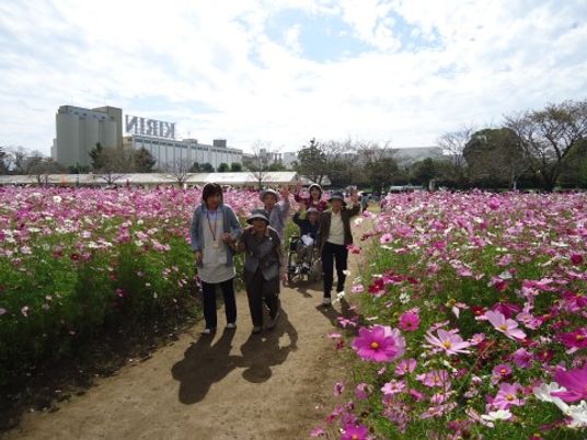 花畑でのふれあい活動