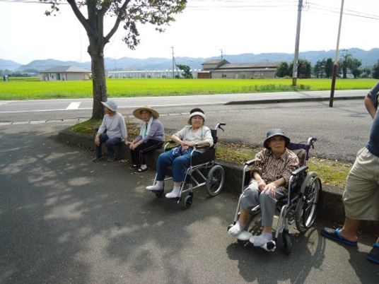 散歩中の利用者とスタッフ