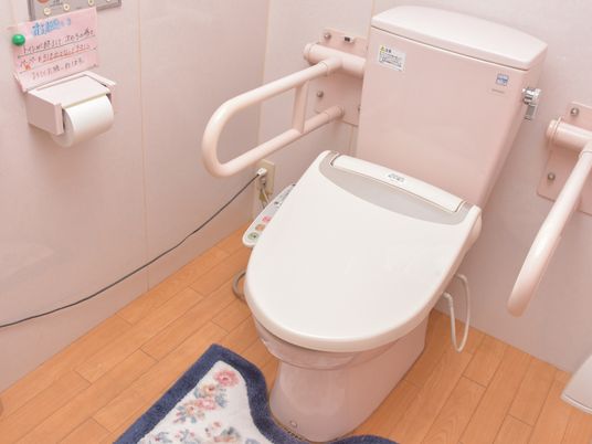 手すり付き清潔なトイレ