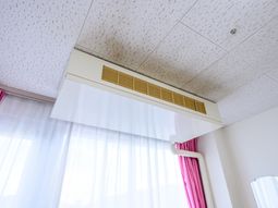 清潔な天井とエアコン