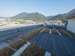 緑に囲まれた屋上の景観