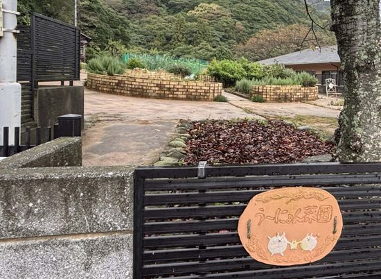 木々が豊かな庭