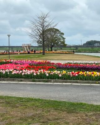 色とりどりの花壇の庭