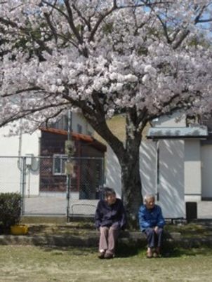 桜の木と共に憩う人々