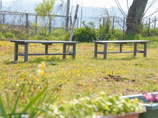 ベンチが置かれた中庭