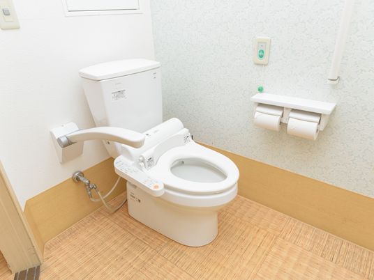 トイレには、温水洗浄便座や呼び出しボタン、可動式手すりが備わっている。床はバリアフリーになっている。