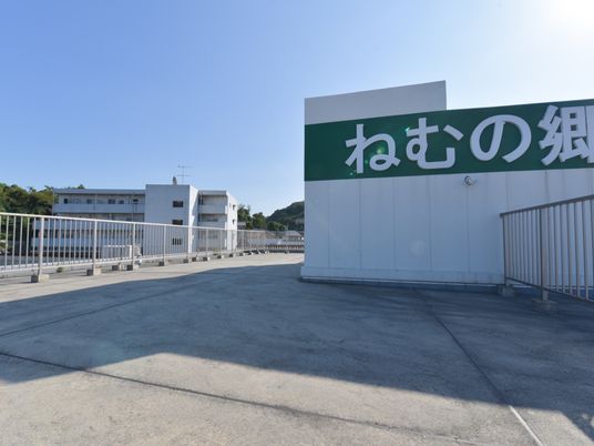 白い建物と緑の看板