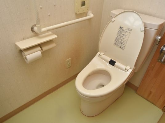 手すり付き清潔なトイレ