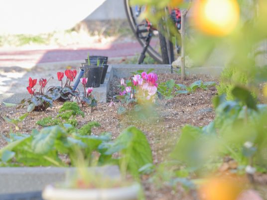 彩り豊かな花壇の景観