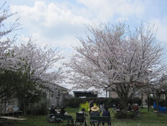 花の下でのくつろぎ時間