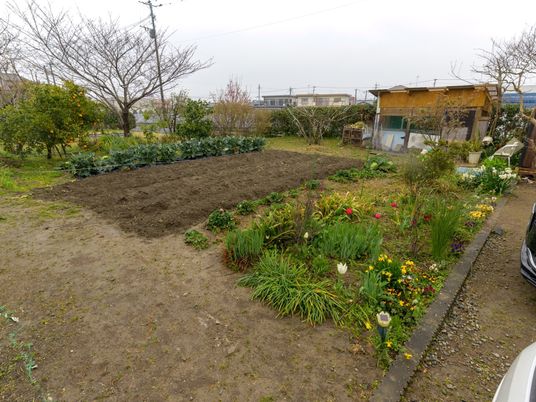 広々とした緑豊かな庭