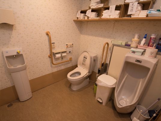白地に薄いグリーンの柄入りのトイレスペースである。洋式便器と男性用の便器が並び、壁際には、コンパクトな洗面台を設けている。