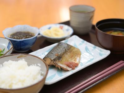 和食の食事セット