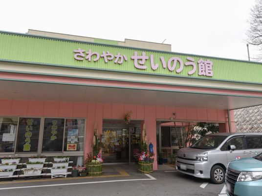 色鮮やかな外観のエントランス