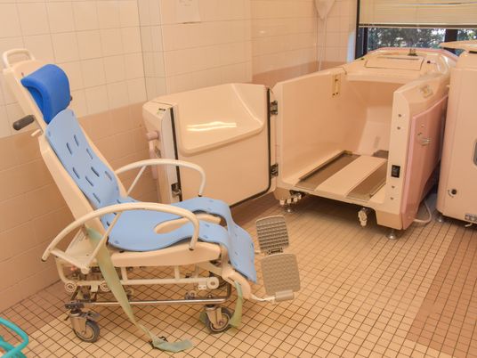白とピンク色の介護浴槽の前に、水色のマットが敷かれた浴室用の白い車椅子が置かれている。奥の窓から緑の木々が見える。