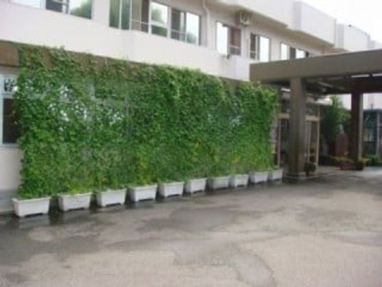 緑の壁が目立つ外観  
