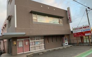 鮮やかな外観