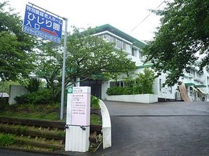 緑豊かな外観