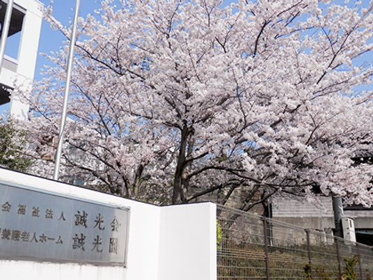 桜と施設看板の外観  