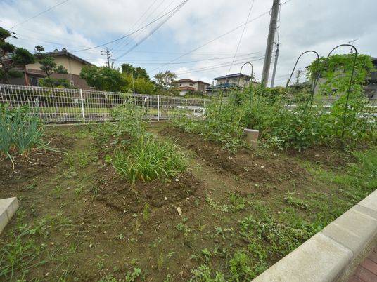 手入れされた施設の庭