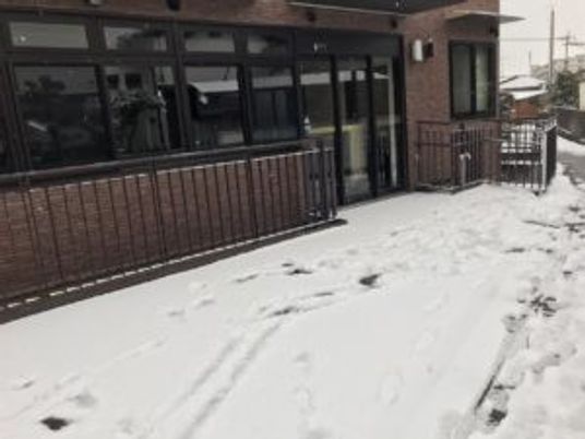 雪の外観  