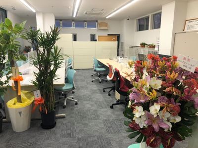 華やかな花のあるオフィス