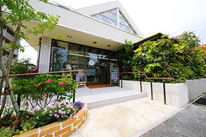 緑豊かな外観の玄関
