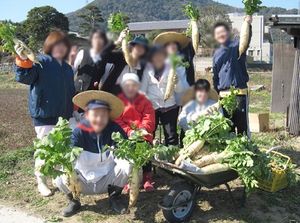 施設での農作業  