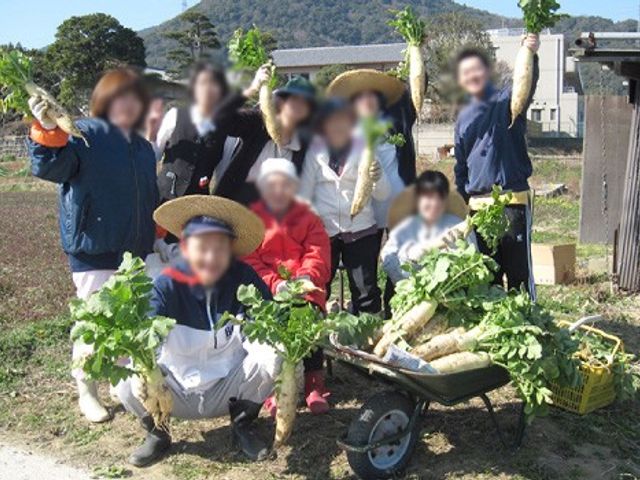 施設での農作業 中庭   野菜作りを楽しむ活動を通じて、利用者同士の交流が深まっています。