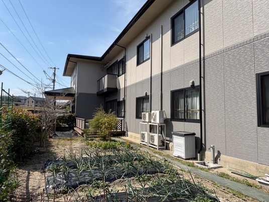 豊かな植栽の庭