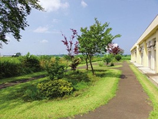 庭と通路  
