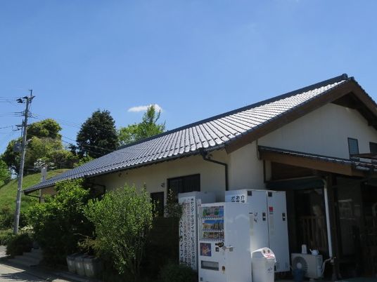 緑に囲まれた建物外観  