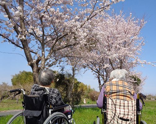 桜の木の下のふたり  