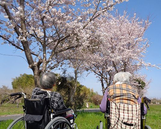 桜の木の下のふたり  