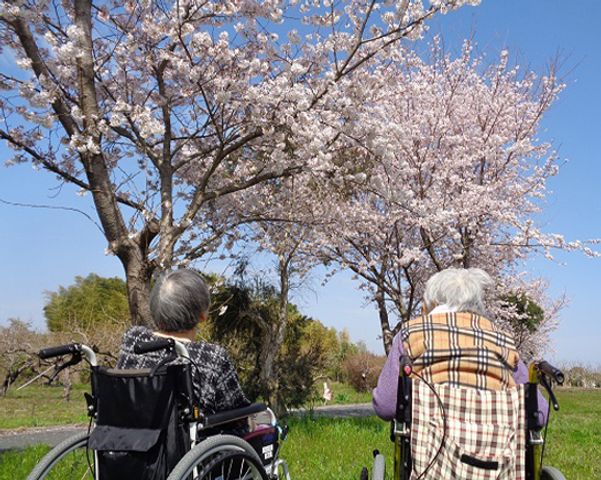 桜の木の下のふたり  
