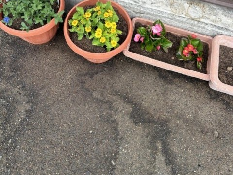 つくし ケアセンター 陣原の外観