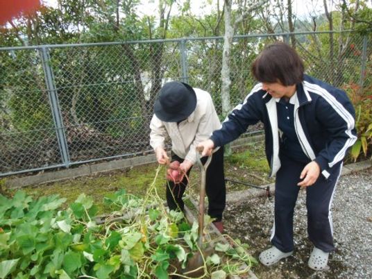 庭で活動する人々