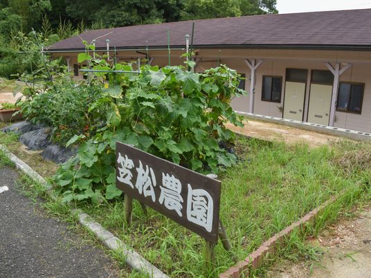 緑溢れる施設外観