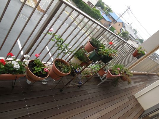 花のあるテラス  