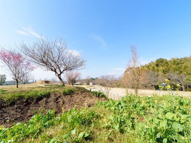 青空と庭の風景 周辺環境 広々とした緑の中、四季折々の自然を感じることができる憩いの空間です。ここでのんびりと過ごすことができます。
