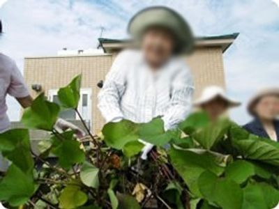 自然と触れ合う庭